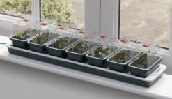 Garland Super 7 Propagator