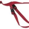 Prolapse Harness (red) -Machine Shop 1941 4118