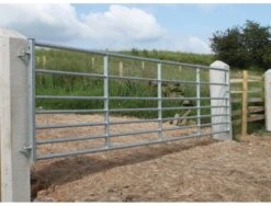 7 Rail Ashbourne Economy Gate 3'