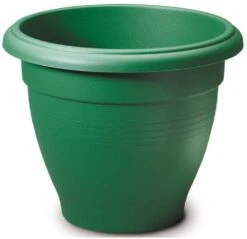 Stewart Palladian - 50cm