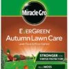 Evergreen Autumn Lawn Food - 100sqm -Machine Shop 4861 9112