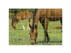 Hampton HT13/122/7.5 Horse Net - 50m