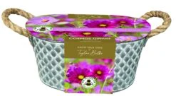 Metal Trough Planter