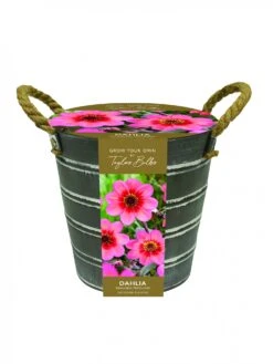 Metal Flower Bucket
