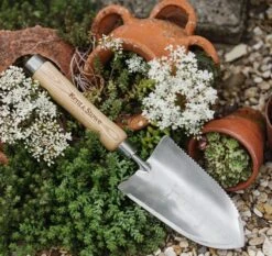 Kent & Stowe Stainless Steel Capability Trowel