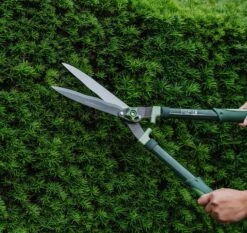 Westland Gardener’s Mate Hedge Shears