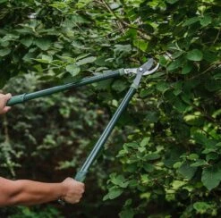 Westland Gardener's Mate Bypass Loppers