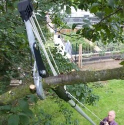 Darlac Geared Anvil Tree Pruner W/Telescopic Pole