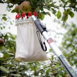 Darlac Fruit Picking Basket W/Telescopic Pole