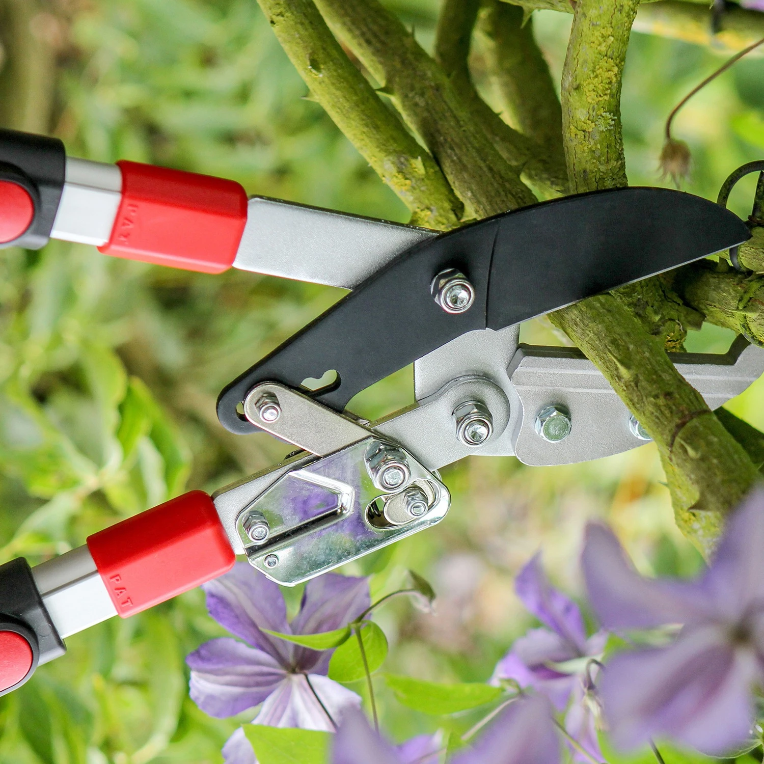 Darlac Telescopic Ratchet Lopper 3 Darlac Telescopic Ratchet Lopper