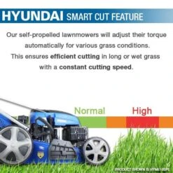 Hyundai 19 /48cm 139cc Self-Propelled Petrol Roller Lawnmower | HYM480SPR -Machine Shop 7478 14454