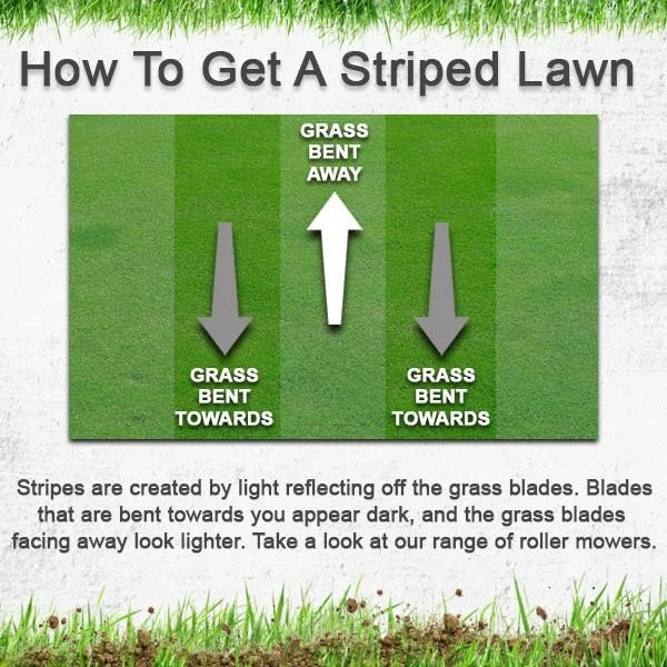 Hyundai 17 /43cm 139cc Self-Propelled Petrol Roller Lawnmower | HYM430SPR 3 Hyundai 17 /43cm 139cc Self-Propelled Petrol Roller Lawnmower | HYM430SPR